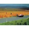 Sale Busch 6034 HO 1 Meter x 66mm Unmarked Asphalt Roadway Strip - Your Source for Gaming Essentials Trains