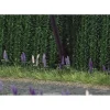 Best Busch 1217 HO Wild Lupines (Qty 16) - Your Source for Gaming Essentials Trains