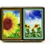 Cards>Congress Sunflowers Jumbo Index Bridge Playing Cards - 2 Deck Set - Your Source for Gaming Essentials