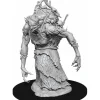 Tabletop Miniatures>D&D Nolzur's Marvelous Unpainted Miniatures (W15) Annis Hag - Your Source for Gaming Essentials