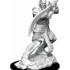 Tabletop Miniatures>D&D Nolzur's Marvelous Unpainted Miniatures (W13) Efreeti - Your Source for Gaming Essentials