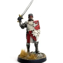 DGS Games High Questor of Tahnar #103005 Unpainted 32mm Scale Metal Figure - Your Source for Gaming Essentials* Best