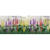 Online JTT Scenery Products 95541 HO 1/2'' Lupines (Pack of 8) - Your Source for Gaming Essentials Trains