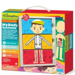 Toys>4M ThinkingKits STEM Learning Tool - My Body Anatomy Systems - Your Source for Gaming Essentials
