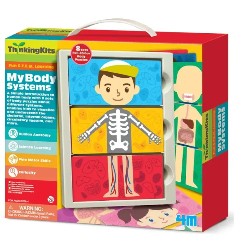 Toys>4M ThinkingKits STEM Learning Tool - My Body Anatomy Systems - Your Source for Gaming Essentials