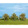 Noch 25114 HO/TT/N Orange Tree - Your Source for Gaming Essentials* Best