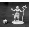 Reaper Miniatures Mistveil, Catfolk Sorceress #03927 Dark Heaven Metal Figure - Your Source for Gaming Essentials* Sale