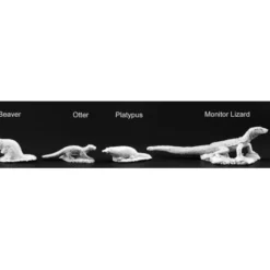 Tabletop Miniatures>Reaper Miniatures River Familiars (4 Pieces) #03704 Dark Heaven Unpainted Metal - Your Source for Gaming Essentials