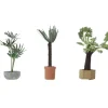 Walthers 949-1086 HO 3 Plants - Tropical Plants - Botanicals - Your Source for Gaming Essentials* Best