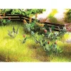 Walthers 949-1094 HO Wild Flowers - Botanicals - Your Source for Gaming Essentials* New