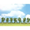 Walthers 949-1164 Short Birch Trees 4" (Pack of 7) - Your Source for Gaming Essentials* Outlet